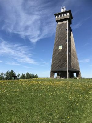  Liángpi – Mausteisen vihanneshurttajan ja kylmän silkkisen nuudelijauhan ihmeellinen yhdistelmä?